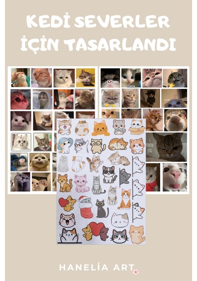 Sevimli Kedi Sticker Seti 2 Li Paket Kedi Çıkartmaları Ajanda, Defter, Laptop Çok Renkli