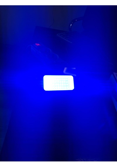 Led Projektör Mavi Renk 30 Watt Projektör Su Geçirmez