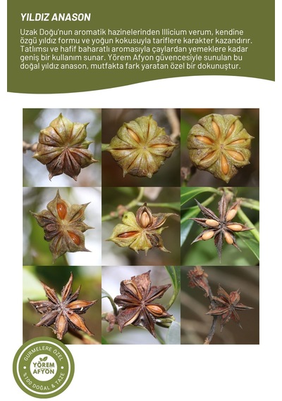 Yörem Afyon Gurme Tariflerin Yıldızı Doğal Bütün Yıldız Anason Illicium Verum 40gr.