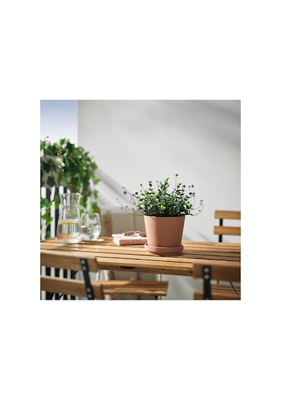 Yapay Bitki, Yeşil, 12 Cm, Çiçekli Lila, İç/dış Mekan Diğer