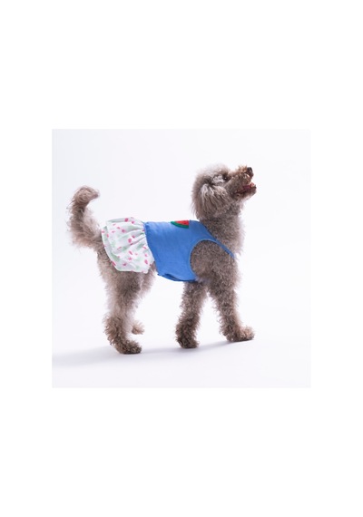 Ruby Slice Denim Karpuz Desenli Kot Kedi Köpek Elbisesi - Kedi Köpek Kıyafeti