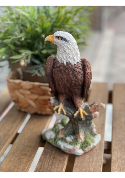Renkli Kartal Biblo
