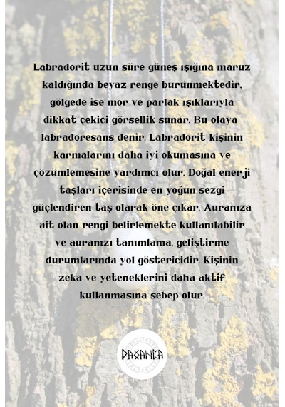 Labradorit Beyaz Işık Spiritüel  Doğal Taş Kolye Diğer