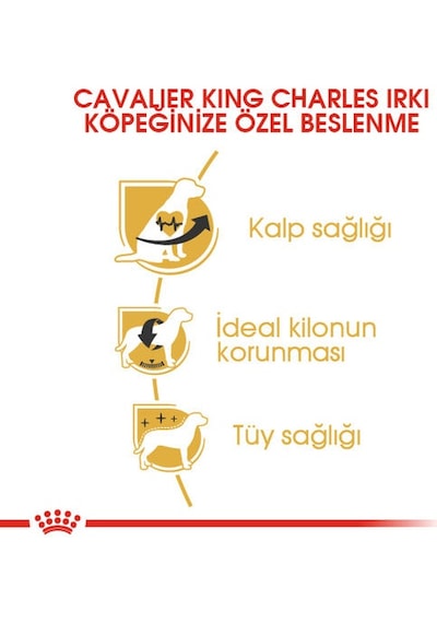 Royal Canin Cavalier King Charles Yetişkin Köpek Maması 3 KG