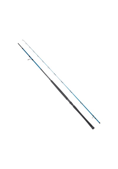 Ryujı Shore Game Fujı Kw 2.95m 30-100gr 2p Shore Jıg Kamış