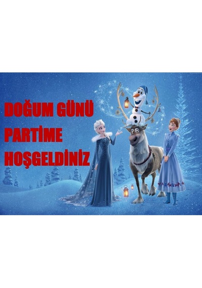 Karlar Ülkesi Frozen Elsa Lüks Doğum Günü Parti Seti 16 Kişilik Diğer