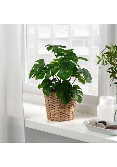 Ikea Fejka Saksılı Yapay Monstera 32 Cm Koyu Yeşil Siyah Siyah - Yeşil