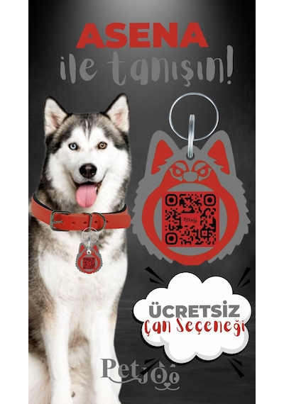 Petjoo 25.Asena Gri-Kırmızı Qr'lı Köpek Künyesi
