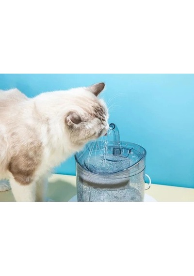 Hpy Pazar 2 Litre Otomatik Kedi/köpek Su Pınarı Şeffaf Musluk Tip