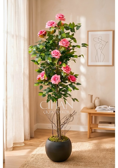 Yapay Pembe Gül Ağacı 150 Cm 27x33 Siyah Küre Saksılı Beyaz