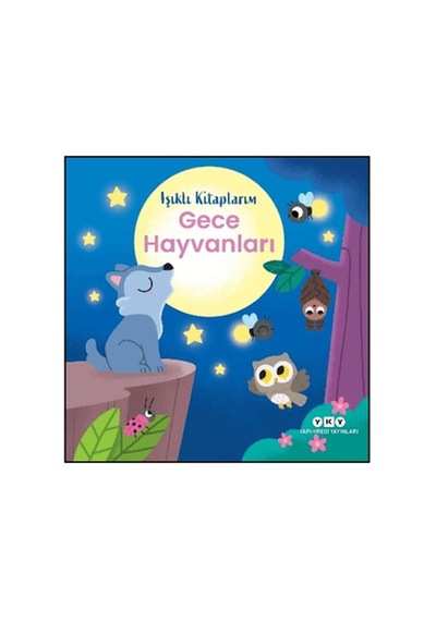 Işıklı Kitaplarım: Gece Hayvanları - Aıaı-892108
