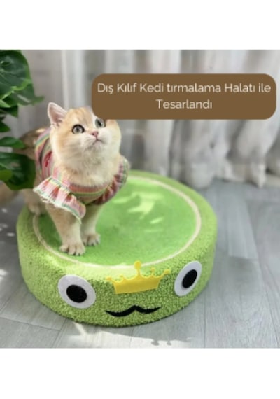 Kuara Kurbağa Kedi Tırmalama Alanı Eğlenceli ve Fonksiyonel Tasarım