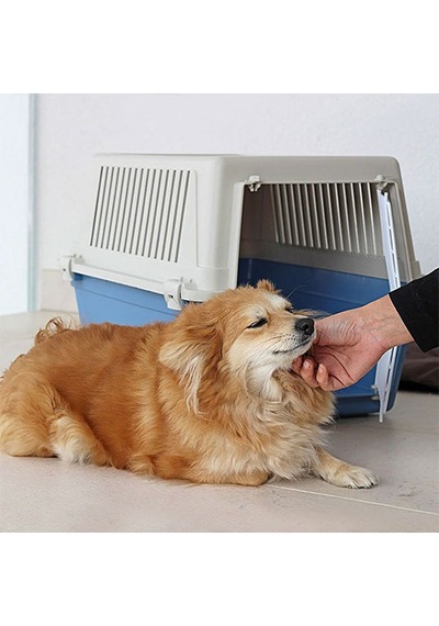 Ferplast Atlas 30 Kedi Küçük Irk Köpek Taşıma Kabı Mavi 40 x 60 x 38 CM