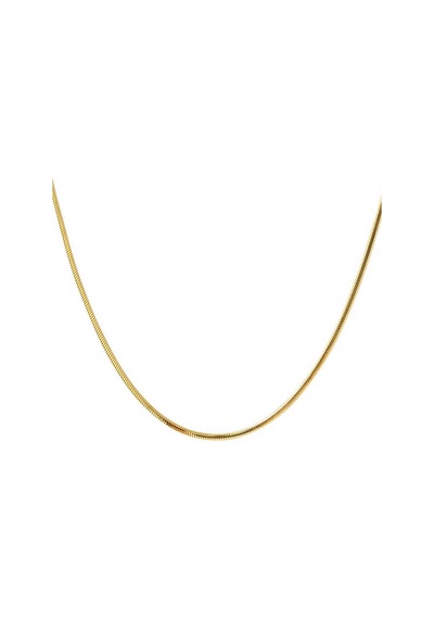 14 Ayar Altın Balıksırtı Zincir -45cm ZNISS14K20409