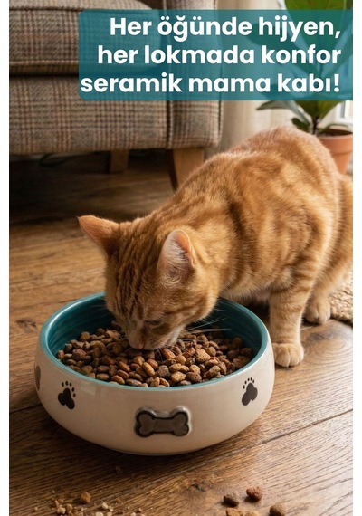 Tekli Seramik Kemik Desenli 600 Ml Mavi-mama Kabı Kedi Köpek Mama Su Kabı
