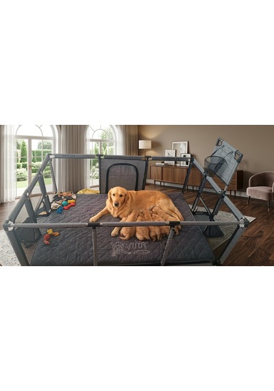 Missidea Brave Pause Köpek Ve Kedi Doğum Evi Oyun Ve Dinlenme Alanı 120x180 Cm