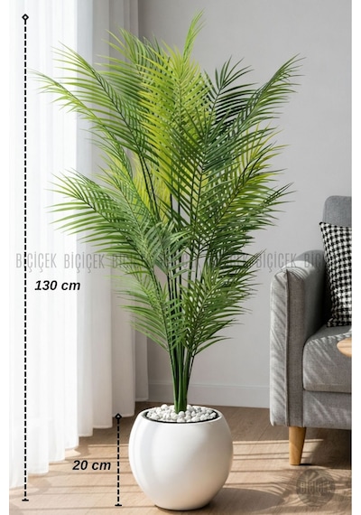 Biçiçek Areka Ağaci 24 Yapraklı 130 Cm Beyaz Küre Saksıda