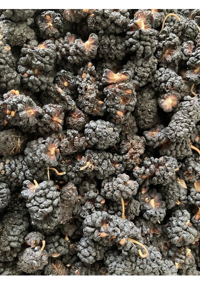Baş Değirmenler İzmir Torbalı Karadut Kurusu 500 G