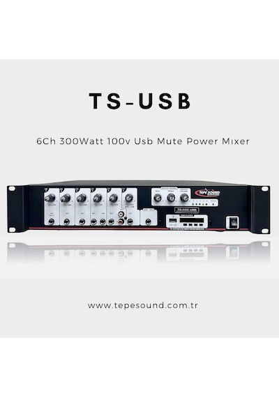 Ts  -  300 Usb 100V Tepesound