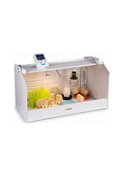 Civciv Büyütme Küvezi Dijital Termostatlı Ana Kucağı Ve Brooder Kafesi Bx-316464