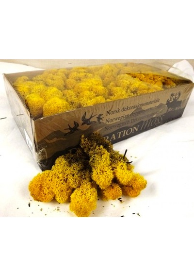 Reindeer Moss Hardal Şoklanmış Norveç Yosunu 30gr