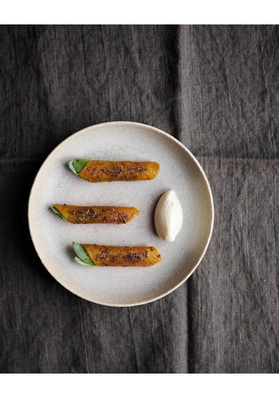 Noma 2.0: Vegetable, Forest, Ocean