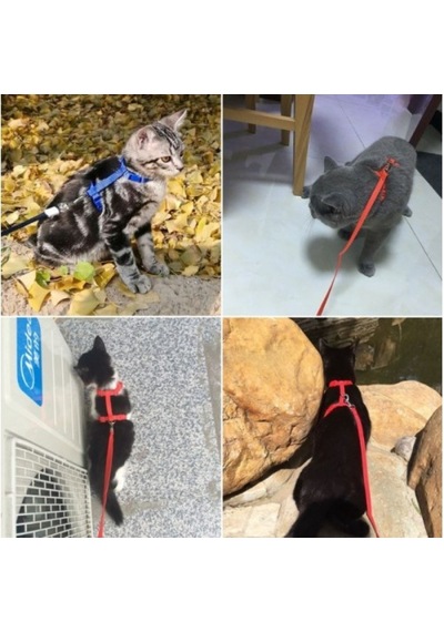 Delux Serisi Gezdirtme Ekipmanı Aktif Yaşam Hareket Özgürlüğü Kedi Boyun Ve Göğüs Tasması