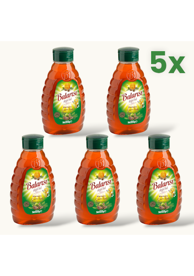 Balarısı Marmaris Çam Balı 5 x 650 G