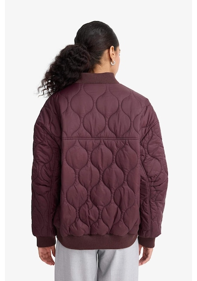Defacto Su Geçirmez Regular Fit Çıtçıtlı Fermuarlı Kapitoneli Mont F2814ax25wnbr444 Bordo Defacto Su Geçirmez Regular Fit Çıtçıtlı Fermuarlı Kapitoneli Mont F2814ax25wnbr444 Bordo