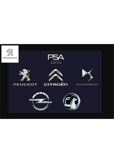 Çıta Grubu Peugeot 1638495480