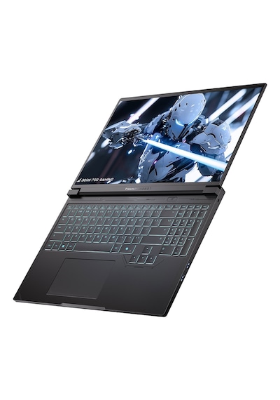 Thunderobot RS16 RS16-R9985HX57E1Q300RB R9-9850HX 32 GB 1 TB SSD RTX5070 16" Free Dos Dizüstü Bilgisayar