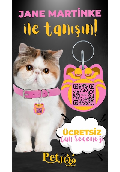 Petjoo 5.Jane Martinke Sarı-Pembe Qr'lı Kedi Künyesi