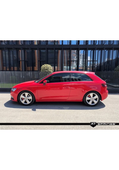 Audi A3 8V Hatchback 1.6 Tdi 2012- Sonrası Xt Spor Yay -40Mm