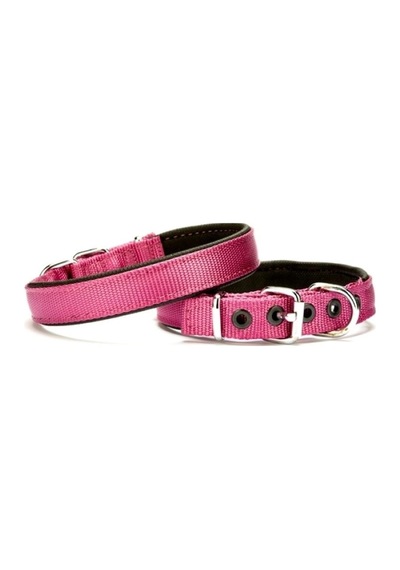 Softlu Köpek Boyun Tasması 2 Cm X 40 Cm Mor Çok Renkli