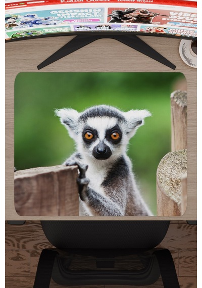 Lemur Kaymaz Dikişli Kauçuk Oyuncu Mousepad V2 - 48x40 Xl Gaming Mouse Pad Fare Altlığı