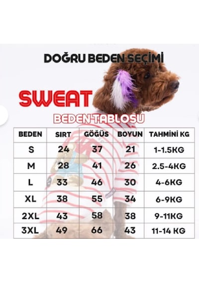 Turkuaz Lucky Club Kedi Köpek Hoodie