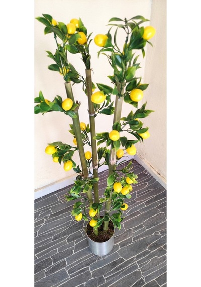 Rüzgar Çiçekcilik 1 Metre Limon Mandalina Nar Set Limon