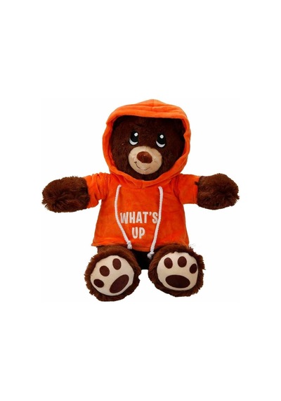 3192 Kapüşonlu Peluş Ayı 30 Cm -sunman Çok Renkli