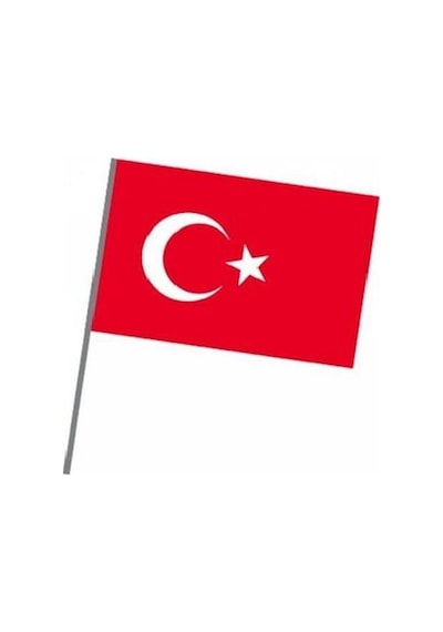 Sopalı Türk Bayrağı 20X30Cm. 100