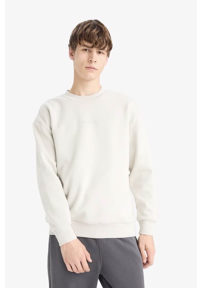 Defacto Boxy Fit İçi Yumuşak Tüylü Taş Erkek Sweatshirt X8282az/bg672