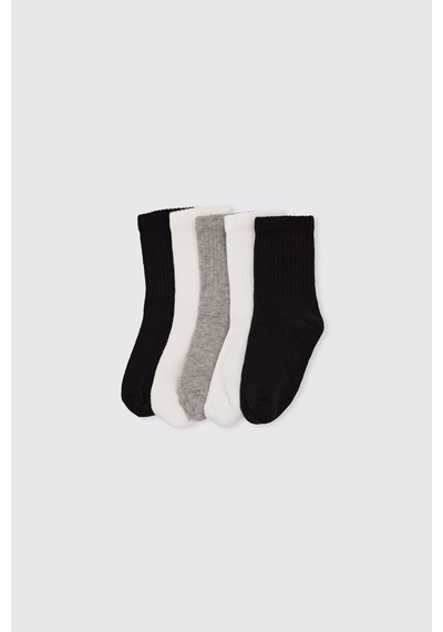 Panço Unisex Bebek 5'li Çorap Seti 2602ub11001 renkli