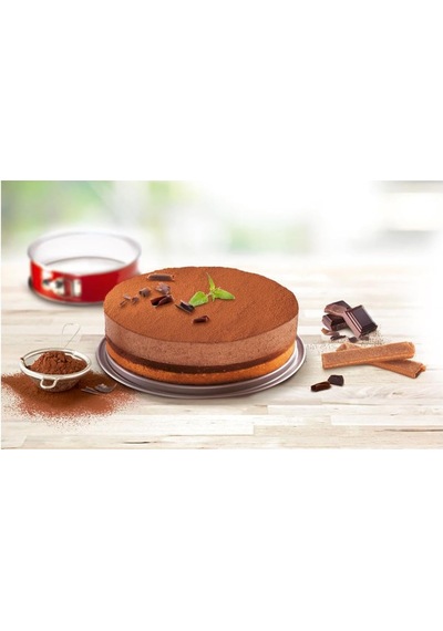 Tefal Delibake 19 Cm Kelepçeli Kek Kalıbı - 2100104745 Diğer