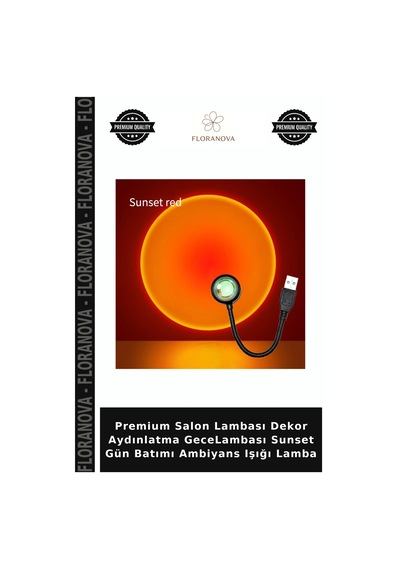 Premium Salon Lambası Dekor Aydınlatma Gecelambası Sunset Gün Batımı Ambiyans Işığı Lamba Diğer