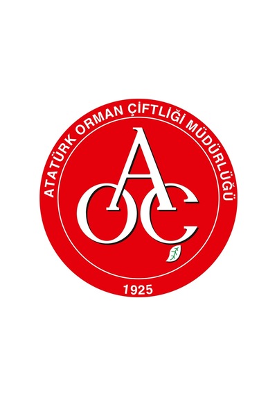 Atatürk Orman Çiftliği Elmacık Su 24 x 1 L