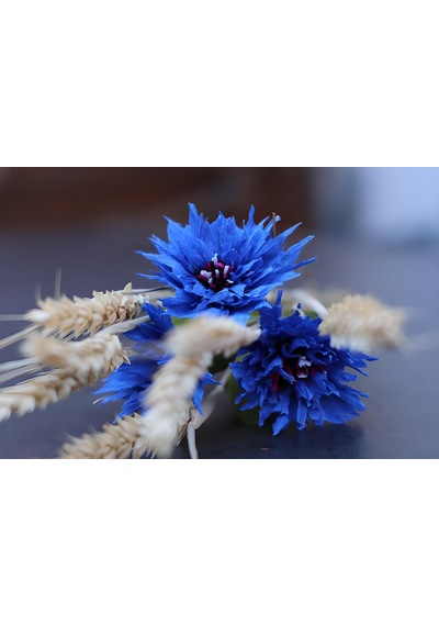 Roco Paper İtalyan Krapon Kağıdı Set Blueberry 180 Gr - 25x125