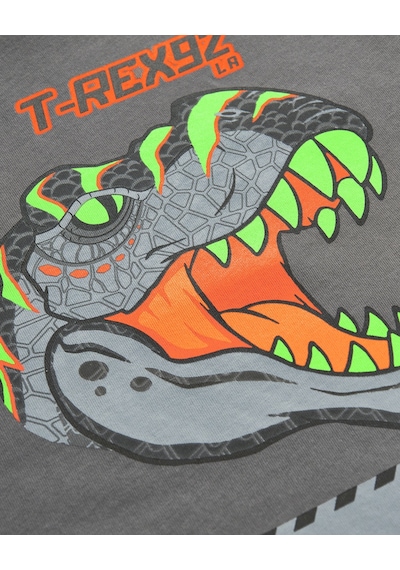 Skechers Graphic Tee B Short Sleeve Büyük Erkek Çocuk Gri Tshirt Sk241093-035
