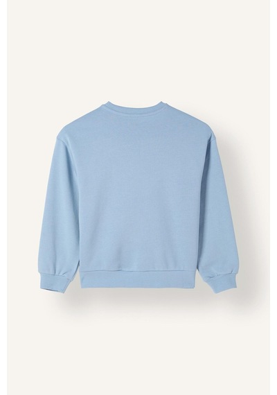 Defacto Relaxed Fit Bisiklet Yaka Ayıcık Baskılı Sweatshirt Kız Çocuk I5915a826aube734 Mavi-be734