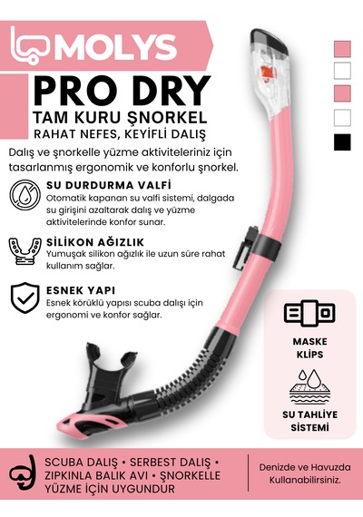 Molys Angel Dalış Maskesi + Antı Fog Buğu Önleyici Film + Pro Full Dry Tam Kuru Şnorkel + Maske Koruma Kutusu Set Halinde Siyah - Pembe