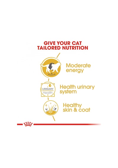 Royal Canin British Shorthair Pouch Yetişkin Kedi Yaş Maması 12 x 85 G