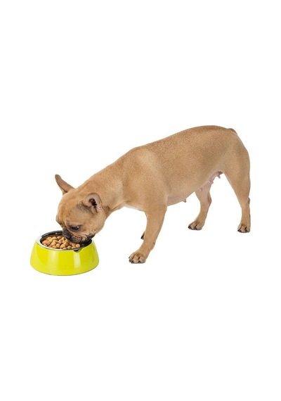 Ferplast Jolie Kedi Ve Köpekler İçin Çelik Mama Ve Su Kabı Yeşil 500 Ml S